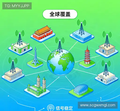 行业领先的理由